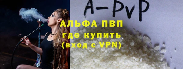 спиды Инта