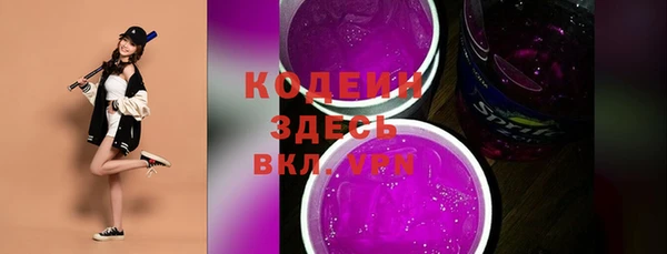 спиды Инта