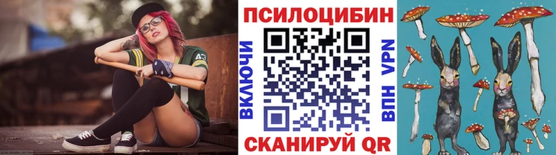 Псилоцибиновые грибы мухоморы  дарк нет клад  Тбилисская  закладка 